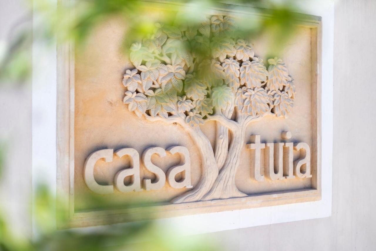 Casa Tuia Resort Карвоейру Екстер'єр фото